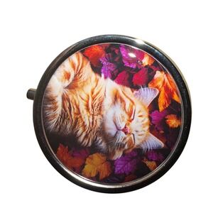 Orange Cat Tabby Pill box Jewelry case New
